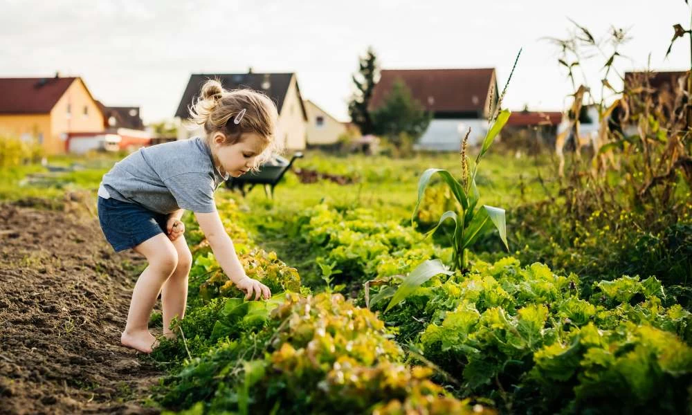 17 karweitjes die wij vroeger moesten doen, maar die geen kind meer