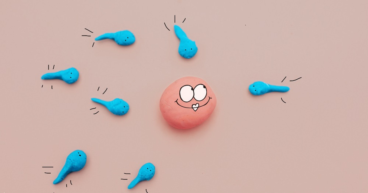 Hoe Lang Blijft Sperma Leven: Feiten En Mythen Onthuld