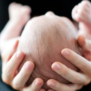 Image without description